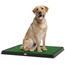 Fake Grass Dog Pee Pad, Medium (B00ICVHY5I), Amazon Price Drop Alert, Amazon Price History Tracker