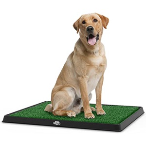 Fake Grass Dog Pee Pad, Medium (B00ICVHY5I), Amazon Price Tracker, Amazon Price History