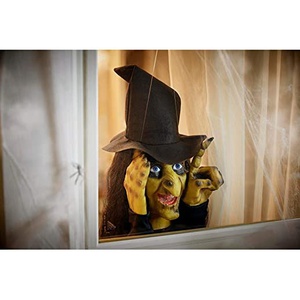 Window Tapping Witch Animatronic (B01DAC9DSO), Amazon Price Tracker, Amazon Price History